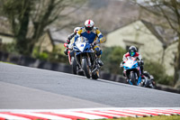 Oulton-Park-21st-March-2020;PJ-Motorsport-Photography-2020;anglesey;brands-hatch;cadwell-park;croft;donington-park;enduro-digital-images;event-digital-images;eventdigitalimages;mallory;no-limits;oulton-park;peter-wileman-photography;racing-digital-images;silverstone;snetterton;trackday-digital-images;trackday-photos;vmcc-banbury-run;welsh-2-day-enduro